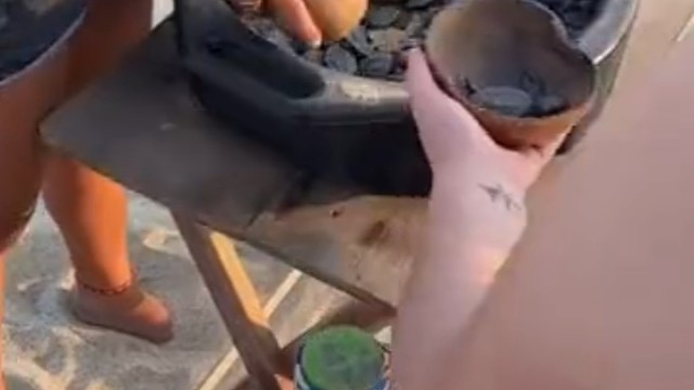 没见过世面，这个是海龟吗？还是普通的乌龟