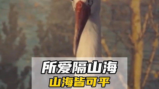 所爱隔山海，山海皆可平