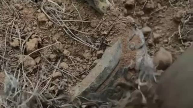 下地干活发现一个这个