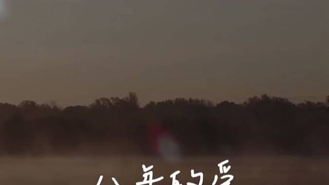 今天有事。白天暂时不直播了…///