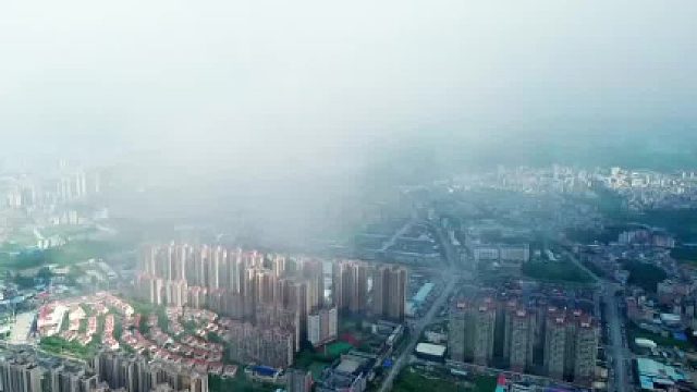 好赞广东—《惠东：大道通衢筑梦湾区》