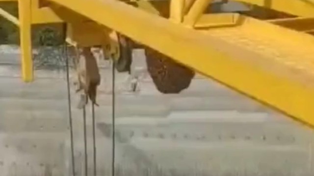 蜂：传出去，宗门被灭，宗门被灭……