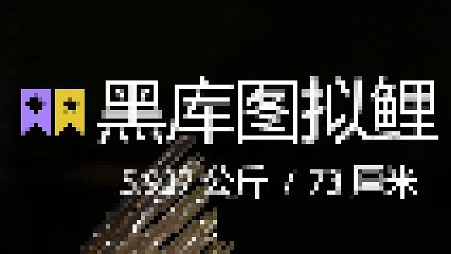 22图【黑裤图拟鲤】上星啦