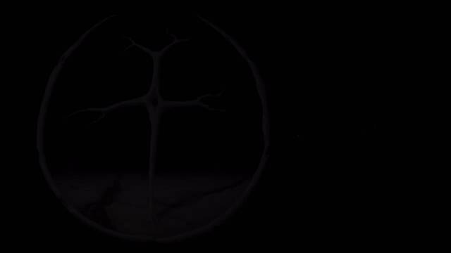 恶事做尽，天来报应！拒绝核污染！