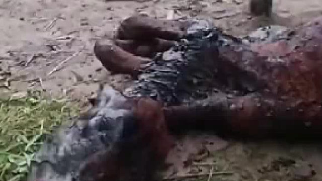 看着真糟心！求给个痛快吧！