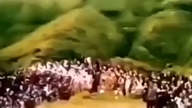 进来的朋友，送你五千万