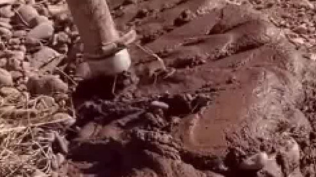 用最高的科技打造最土的房子