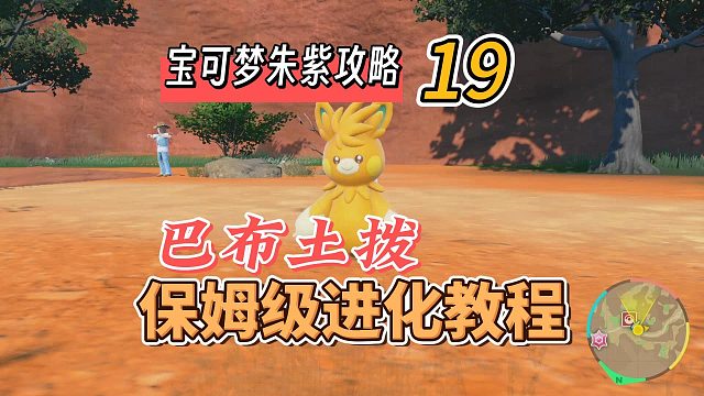 宝可梦朱紫攻略19：巴布土拨，保姆级进化教程