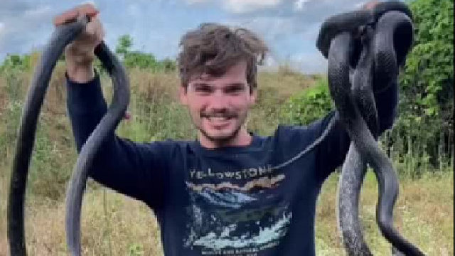 敢徒手抓蛇的，都是狠人