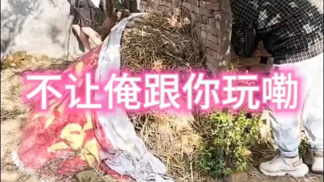 俺妈让俺跟你玩