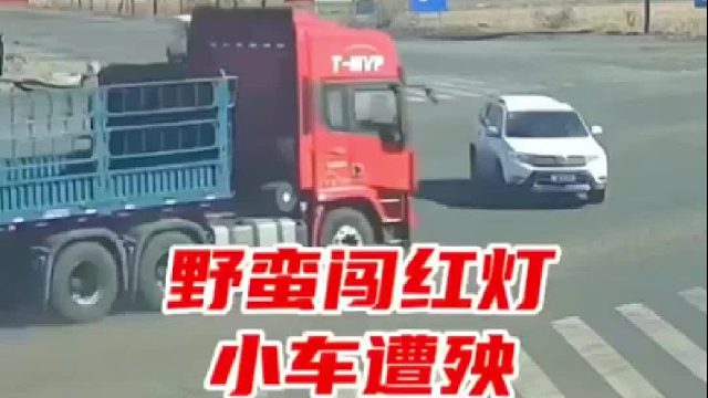 野蛮闯红灯小车遭殃！