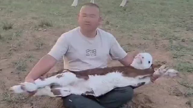 男子扯犊子，身后大牛虎视眈眈[笑cry]。他妈妈要顶你了喂！你在那里给我扯犊子！