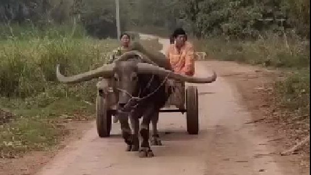 牛角是做配重的作用吗？