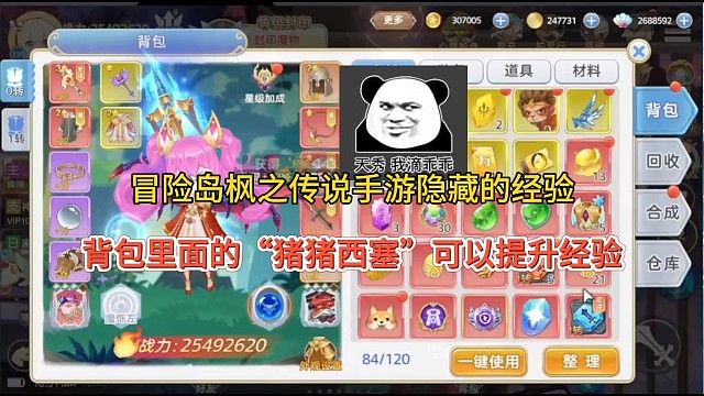 冒险岛枫之传说手游隐藏经验，背包里的“猪猪xi塞”可以快速升级！
