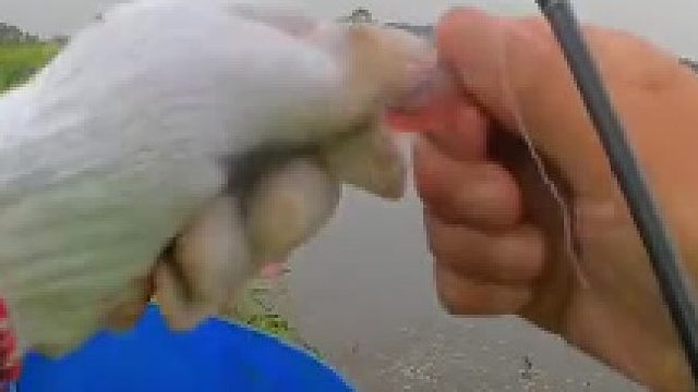 这就是黑坑，老板也得赔死啊……