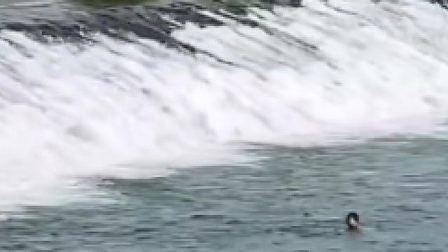 爸爸拿孩子泳圈跳入水中救人，急哭一旁女儿