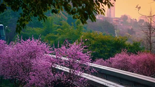 不会被vv斑斑驳驳哈哈