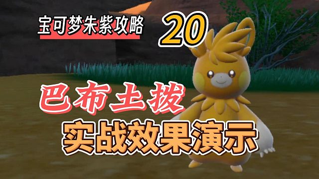 宝可梦朱紫攻略20：巴布土拨实战效果展示