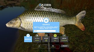 如果藍三花鯉魚愛吃軟餌。。。重的像頭豬。。。