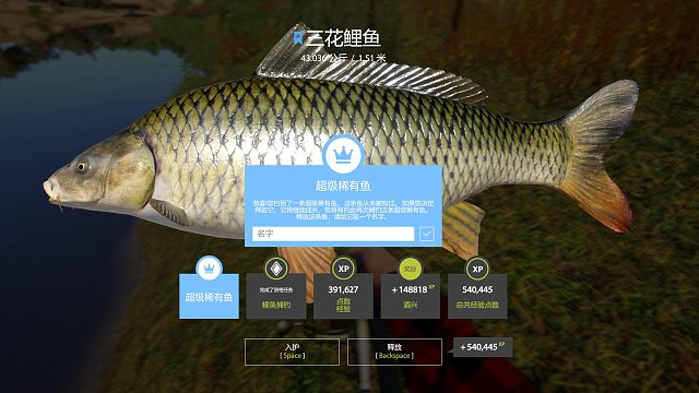 如果蓝三花鲤鱼爱吃软饵。。。重的像头猪。。。