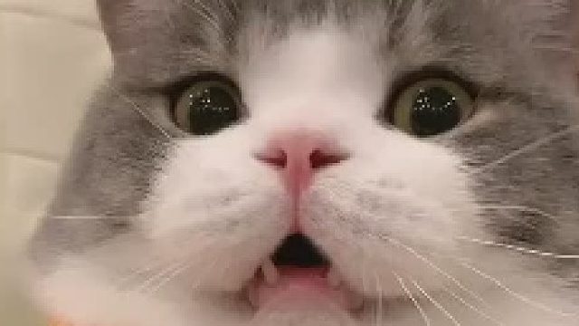 .妈妈说不要我了，好难过_