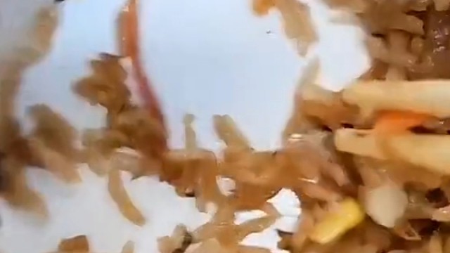 你还别说这粒米饭真像虫子