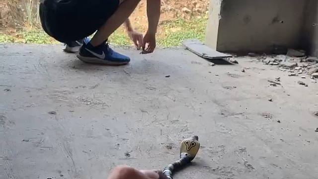 眼镜王蛇恶搞一下老弟