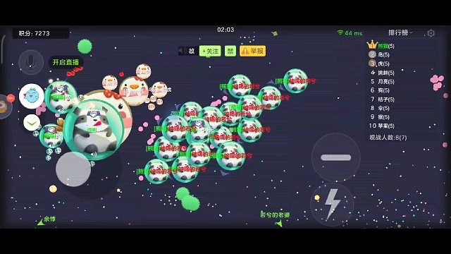 《若兮君团战实录》第2023.8.24期