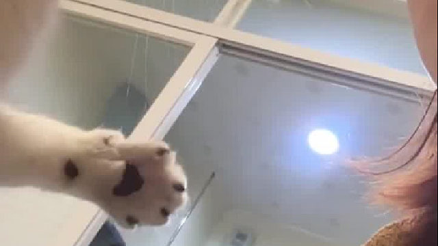 这一巴掌过来是轻的