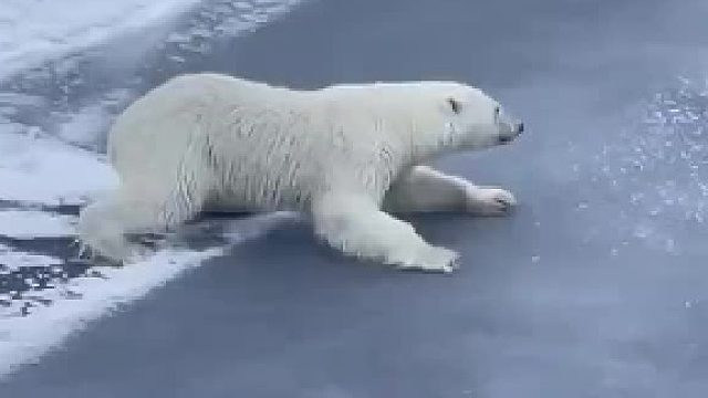 这TM就叫做（如履薄冰），这玩意一看就学过物理