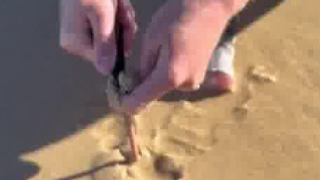 以为是沙漠半天是沙滩