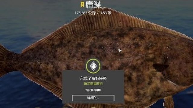 沉底摆烂175大庸鲽