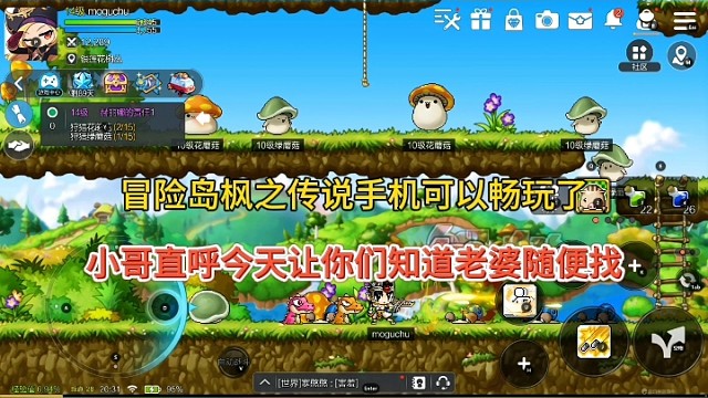 冒险岛枫之传说手游老婆随便找？