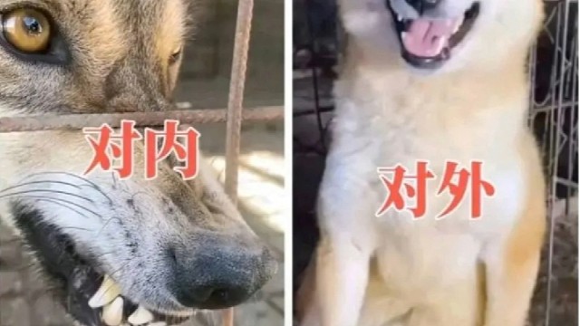 对外没赢过，对内没输过。