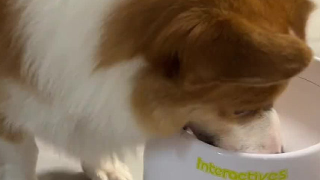 把他绑起来，让他看着球发出去谢谢