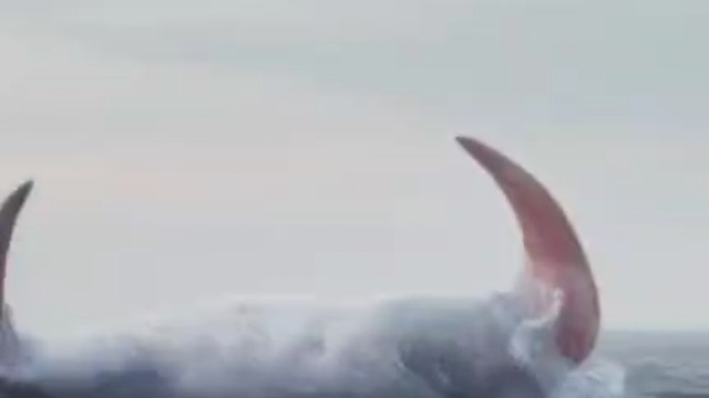 我发布了一个新视频，快来围观吧！