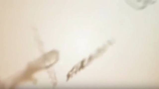 三无迷宫爵士打榜