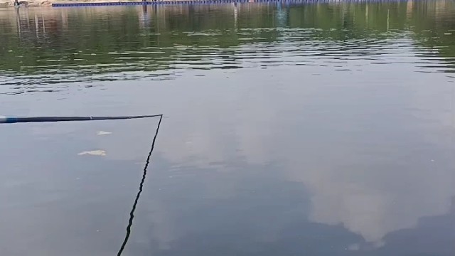 又是爆杆的一天