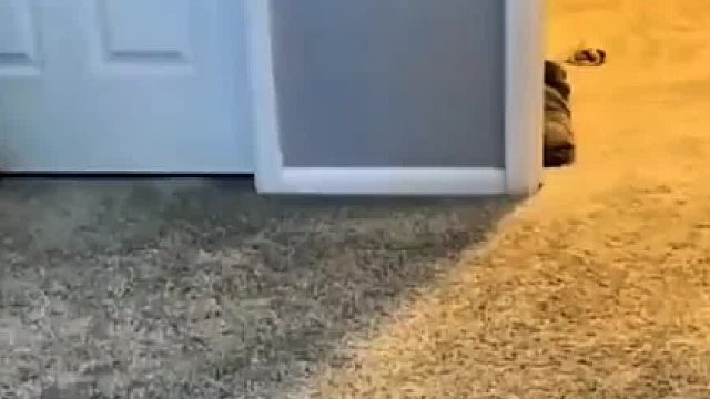 闪开闪开马上到点了