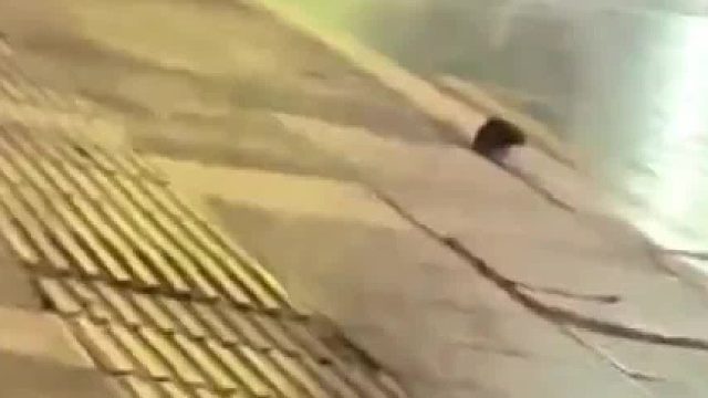 老鼠：真是最毒不过妇人心啊！