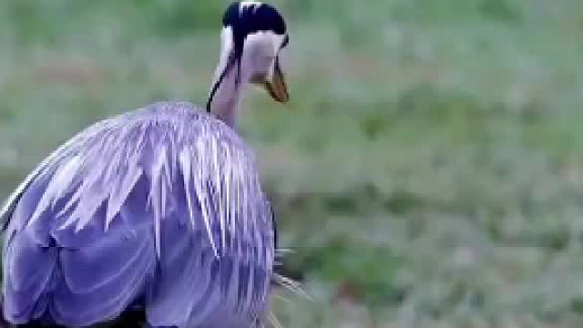 说多少次了，施工要戴安全帽