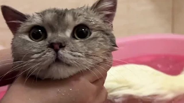 今天是大洗的日子