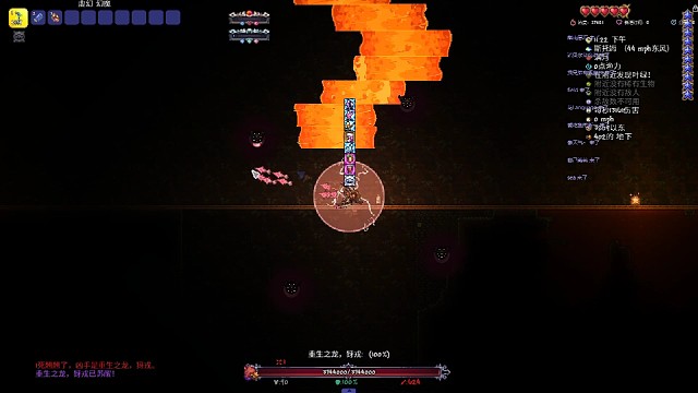 丛林龙--射手无伤