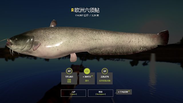 玄学钓鱼，换轮子一发入魂。