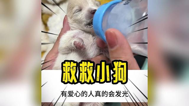 原来有爱心的人真的会发光