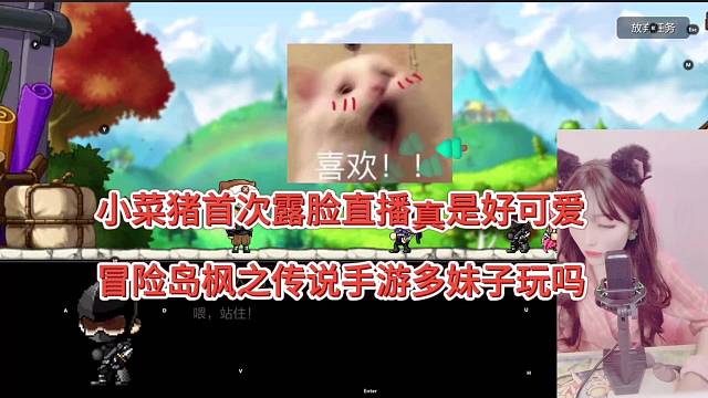 小菜猪首次露脸好可爱，冒险岛枫之传说手游妹子多不多