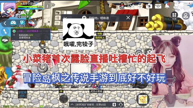 小菜猪首次露脸，冒险岛枫之传说手游好不好玩