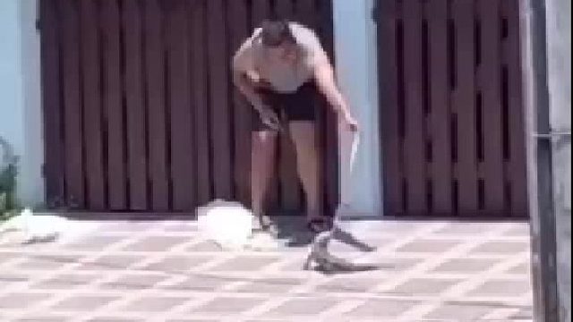 哈哈哈，被蜥蜴反杀