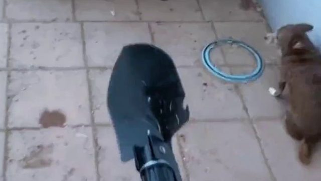 傻肥真可爱啊！