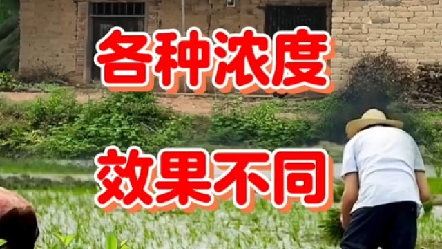 磷酸二氢钾不同浓度的效果